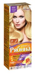 Kreminiai plaukų dažai Acme Color Rebina Nr. 111 цена и информация | Краска для волос | pigu.lt