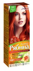 Kreminiai plaukų dažai Acme Color Rebina Nr. 131 цена и информация | Краска для волос | pigu.lt