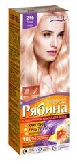 Kreminiai plaukų dažai Acme Color Rebina Nr. 246 kaina ir informacija | Plaukų dažai | pigu.lt