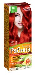 Kreminiai plaukų dažai Acme Color Rebina Nr. 322 цена и информация | Краска для волос | pigu.lt