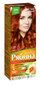 Kreminiai plaukų dažai Acme Color Rebina Nr. 734 kaina ir informacija | Plaukų dažai | pigu.lt