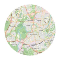 Kamštinis paveikslas - Detalusis Vilniaus žemėlapis 70x50cm kaina ir informacija | Reprodukcijos, paveikslai | pigu.lt