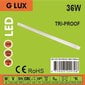 LED IP65 šviestuvas G.LUX GR-LED-TRI-PROOF-36W-1200mm цена и информация | Lubiniai šviestuvai | pigu.lt