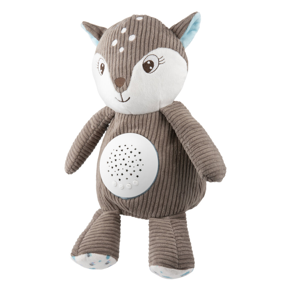Pliušinis meškutis-projektorius Canpol Babies 3in1, brown, 77/206 kaina ir informacija | Žaislai kūdikiams | pigu.lt
