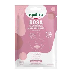 Регенерирующая увлажняющая маска для лица с гиалуроновой кислотой Equilibra Rosa Regenerating Moisturizing Face Mask цена и информация | Маски для лица, патчи для глаз | pigu.lt