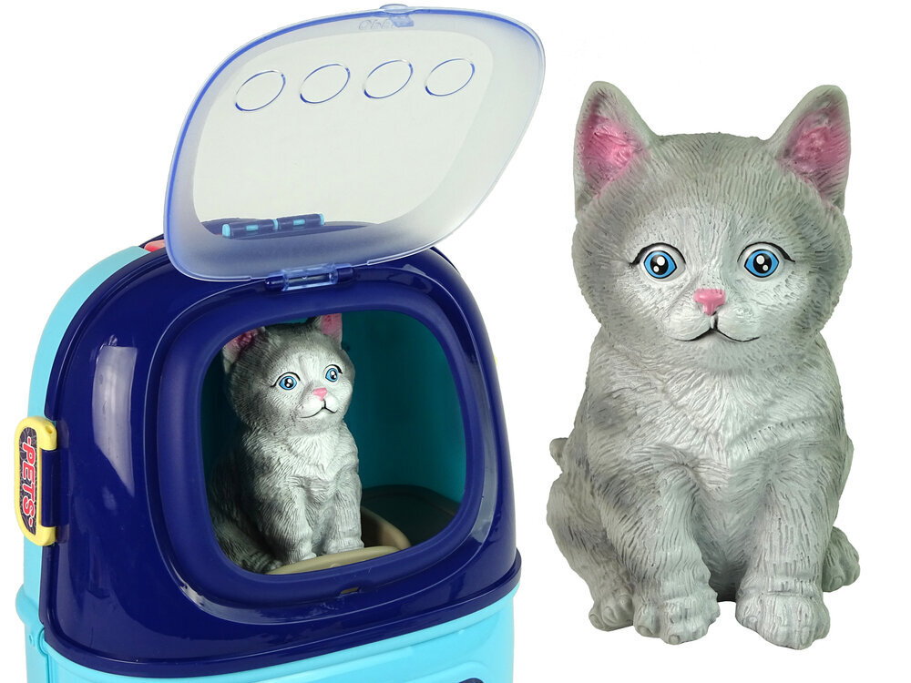Katės grožio salono rinkinys mergaitėms Lean Toys, mėlynas kaina ir informacija | Žaislai mergaitėms | pigu.lt