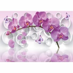 Fototapetai drugelių orchidėja цена и информация | Фотообои с инструментом и клеем - Бежевые листья эвкалипта, 400x280 см | pigu.lt