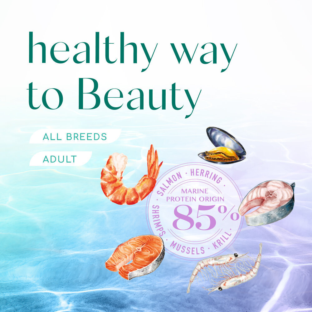 OPTIMEAL™ Beauty Harmony begrūdis maistas katėms su jūrinio maisto formule, 4 kg kaina ir informacija | Sausas maistas katėms | pigu.lt