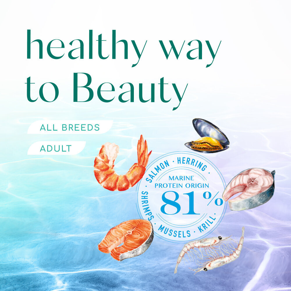 OPTIMEAL™ Beauty Podium begrūdis maistas šunims su jūrinio maisto formule, 10 kg цена и информация | Sausas maistas šunims | pigu.lt