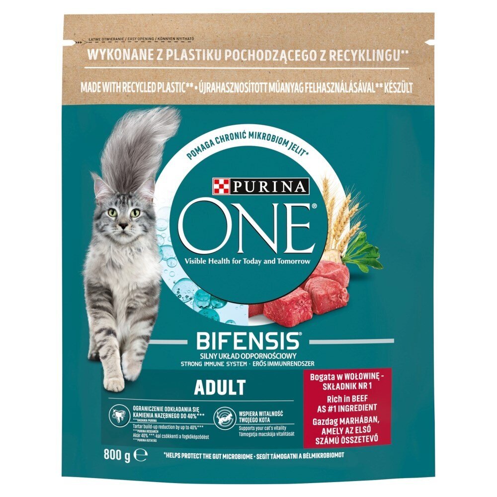 Purina One Bifensis sausas katėms su jautiena, 800 g цена и информация | Sausas maistas katėms | pigu.lt