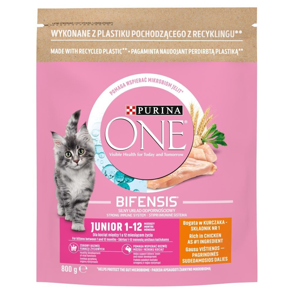 Purina One Bifensis Junior katėms su vištiena, 800 g цена и информация | Sausas maistas katėms | pigu.lt