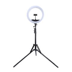 Кольцевая LED лампа 34,5 см, штатив до 1,85 м, зеркало, держатель для телефона, USB цена и информация | Осветительное оборудование для фотосъемок | pigu.lt