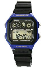 Мужские часы Casio AE-1300WH-2AVEF VVA4643 цена и информация | Мужские часы | pigu.lt