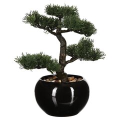 Dirbtinis BONSAI augalas vazone kaina ir informacija | Interjero detalės | pigu.lt