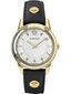 Laikrodis moterims Versace, auksinis цена и информация | Moteriški laikrodžiai | pigu.lt