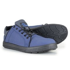 Синие рабочие ботинки из кожи набук S3 цена и информация | Рабочая обувь | pigu.lt