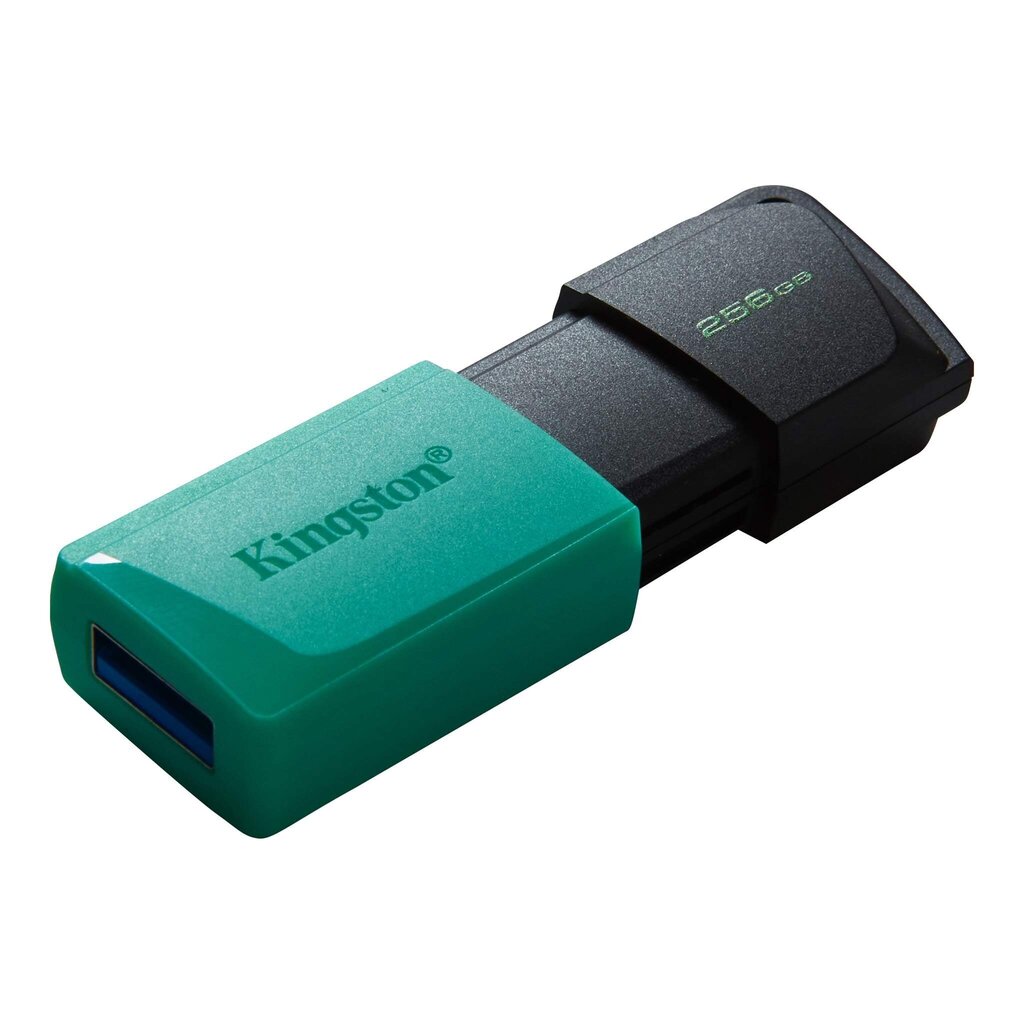 Kingston DT Exodia M 256GB USB 3.0 kaina ir informacija | USB laikmenos | pigu.lt