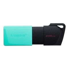 Kingston DT Exodia M 256 ГБ USB 3.0 цена и информация | Kingston Компьютерная техника | pigu.lt