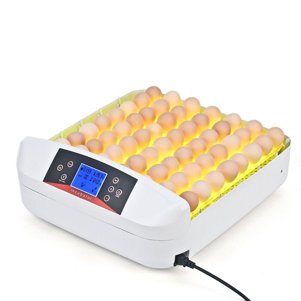 Automatinis kiaušinių inkubatorius, 32 vietos kaina ir informacija | Prekės ūkiniams gyvūnams | pigu.lt