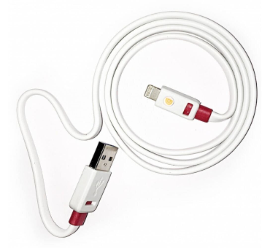 USB Iphone laidas, Baltos spalvos kaina ir informacija | Laidai telefonams | pigu.lt