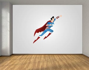 Vaikiški fototapetai - Super herojus kaina ir informacija | Vaikiški fototapetai | pigu.lt