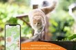 Kačių GPS sekiklis Weenect Cats 2 цена и информация | Pavadėliai, antkakliai, petnešos katėms | pigu.lt