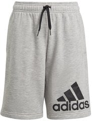 Šortai berniukams Adidas Essentials Big Logo Short GN4022, pilki kaina ir informacija | Šortai berniukams | pigu.lt