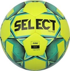 Select Team FIFA futbolo kamuolys цена и информация | Футбольные мячи | pigu.lt