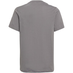 Детская футболка Adidas Entrada 22 HC0444, серый цена и информация | Рубашка для мальчиков | pigu.lt