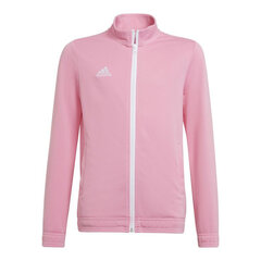 Vaikiškas užsegamas megztinis Adidas Entrada 22 HC5035, rožinis kaina ir informacija | Futbolo apranga ir kitos prekės | pigu.lt