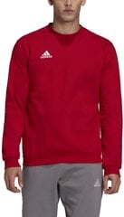 Adidas Джемпер Ent22 Hoody Green HI2141 цена и информация | Мужские термобрюки, темно-синие, SMA61007 | pigu.lt