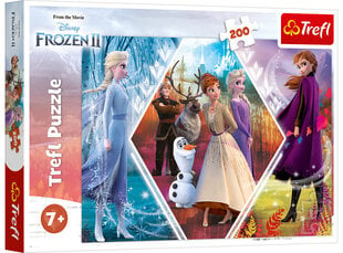 Dėlionė 261 Frozen 2, 200 detalių kaina ir informacija | Dėlionės (puzzle) | pigu.lt
