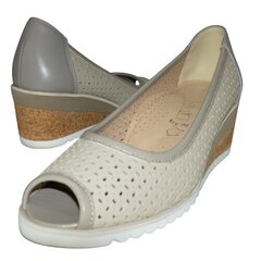 Летние туфли на каблуке Conhpol Relax 42107659_39 цена и информация | Женские туфли | pigu.lt