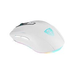 Gaming Mouse Motospeed V60 5000 DPI (white) цена и информация | Мыши | pigu.lt