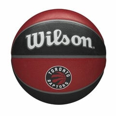 Баскетбольный мяч Jim Sports Raptors цена и информация | Баскетбольные мячи | pigu.lt