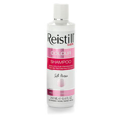 Šampūnas dažytiems plaukams Reistill Colour Safe, 250 ml kaina ir informacija | Šampūnai | pigu.lt