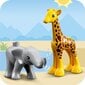 10971 LEGO® DUPLO Laukiniai Afrikos gyvūnai цена и информация | Konstruktoriai ir kaladėlės | pigu.lt