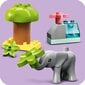 10971 LEGO® DUPLO Laukiniai Afrikos gyvūnai цена и информация | Konstruktoriai ir kaladėlės | pigu.lt