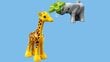 10971 LEGO® DUPLO Laukiniai Afrikos gyvūnai kaina ir informacija | Konstruktoriai ir kaladėlės | pigu.lt