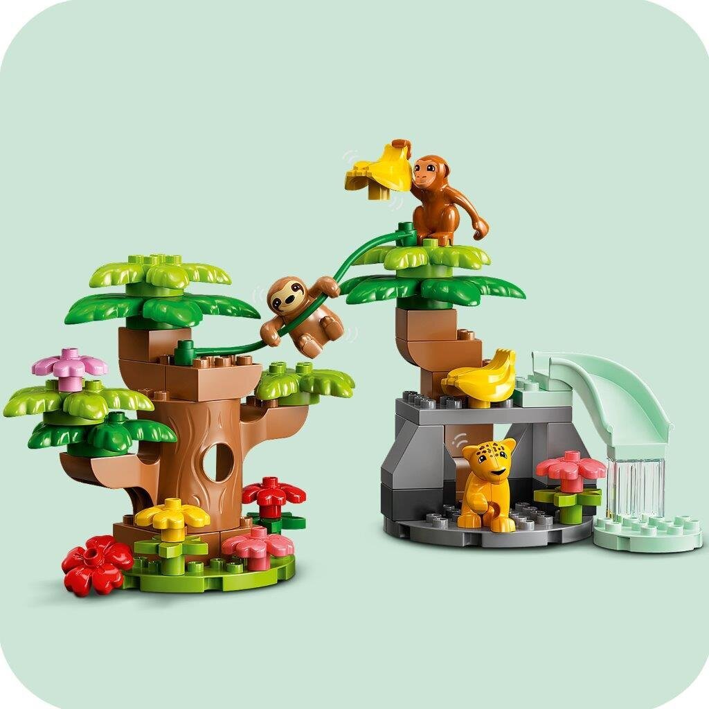 10973 LEGO® DUPLO Laukiniai Pietų Amerikos gyvūnai цена и информация | Konstruktoriai ir kaladėlės | pigu.lt