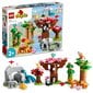 10974 LEGO® DUPLO Laukiniai Azijos gyvūnai цена и информация | Konstruktoriai ir kaladėlės | pigu.lt