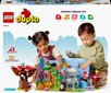 10975 LEGO® DUPLO Laukiniai pasaulio gyvūnai цена и информация | Konstruktoriai ir kaladėlės | pigu.lt