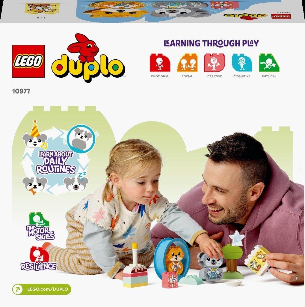 10977 LEGO® DUPLO Mano pirmasis šuniukas ir kačiukas su garsais цена и информация | Konstruktoriai ir kaladėlės | pigu.lt