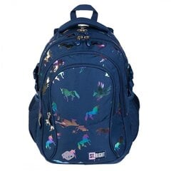 Рюкзак HOLO UNICORNS BP-01 St.MAJEWSKI цена и информация | Школьные рюкзаки, спортивные сумки | pigu.lt