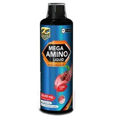 Konzept Mega Amino Liquid vyšnių skonio, 1 l цена и информация | Аминокислоты | pigu.lt