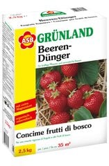 Удобрения для пастбищных ягод 2,5кг цена и информация | Рассыпчатые удобрения | pigu.lt