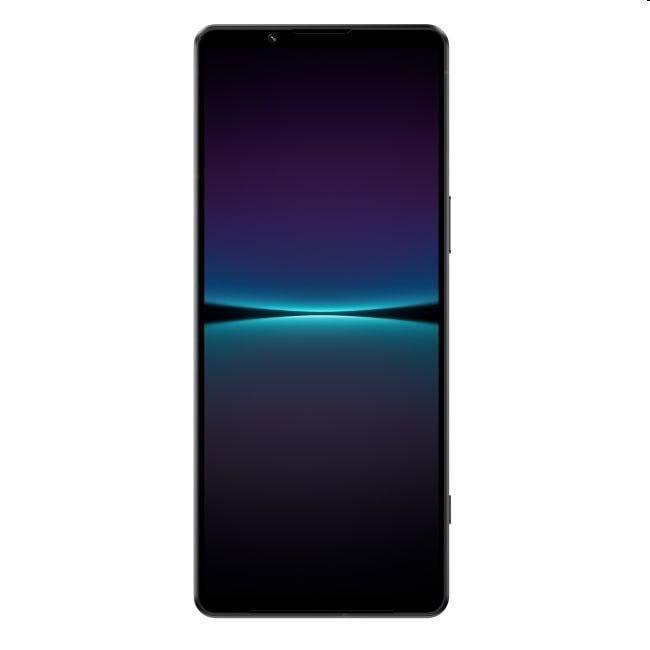 Sony Xperia 1 IV 12/256GB XQCT54C0B.EEAC Black цена и информация | Mobilieji telefonai | pigu.lt