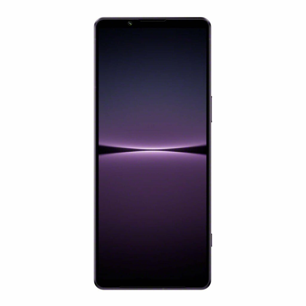 Sony Xperia 1 IV 12/256GB XQCT54C0V.EEAC Lavender kaina ir informacija | Mobilieji telefonai | pigu.lt
