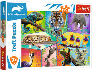 Puzzle 266 animal planet/ *200шт цена и информация | Пазлы | pigu.lt