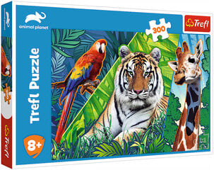 Puzzle 272 animal planet/ *300шт цена и информация | Пазлы | pigu.lt